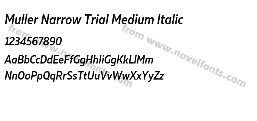 Muller Narrow Trial Medium ItalicPreview