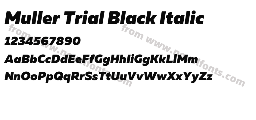 Muller Trial Black ItalicPreview