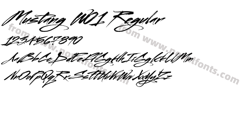 Mustang W01 RegularPreview