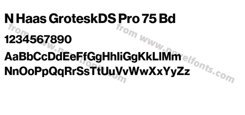 N Haas GroteskDS Pro 75 BdPreview