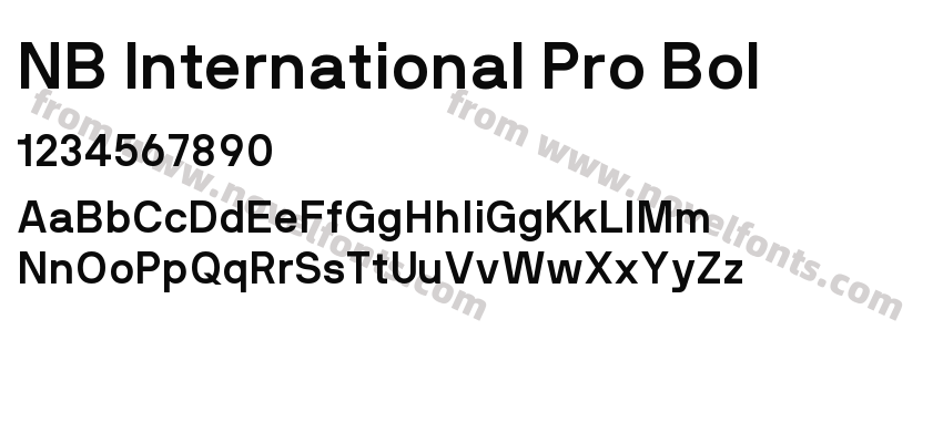 NB International Pro BolPreview