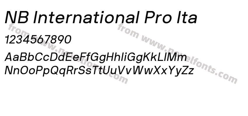 NB International Pro ItaPreview