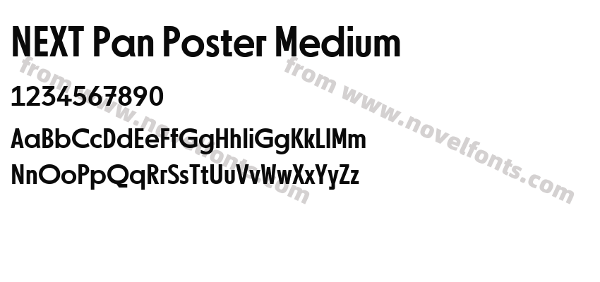 NEXT Pan Poster MediumPreview