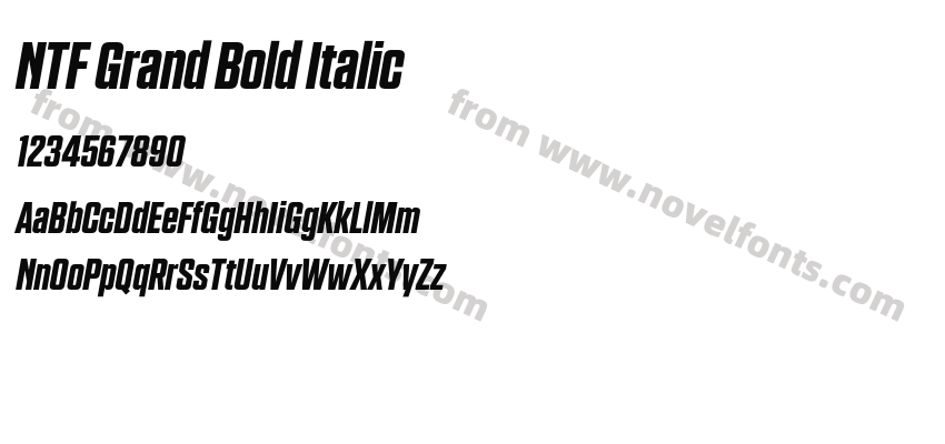 NTF Grand Bold ItalicPreview