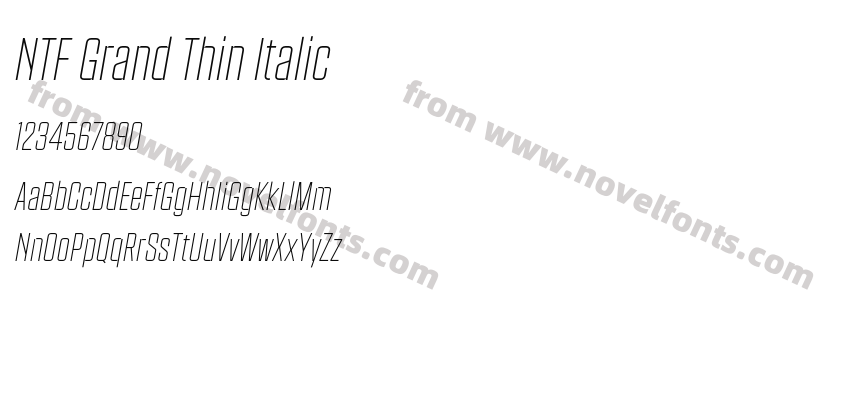 NTF Grand Thin ItalicPreview