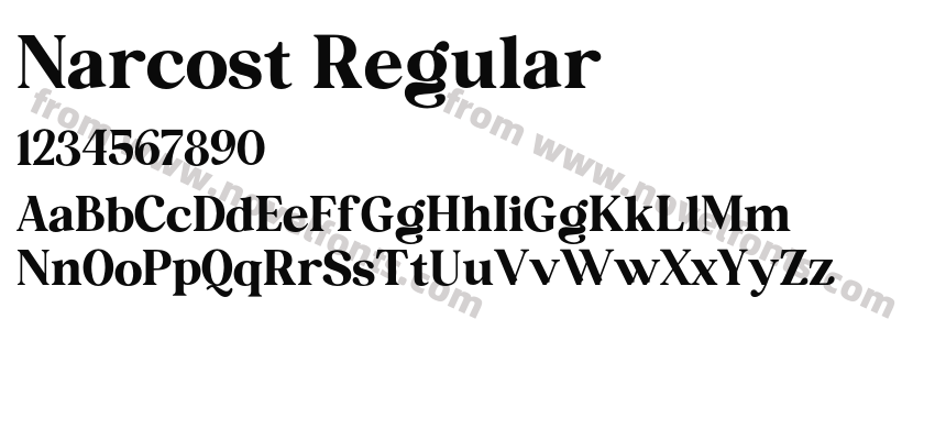 Narcost RegularPreview