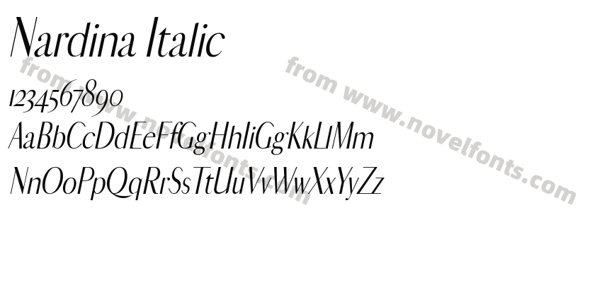 Nardina ItalicPreview