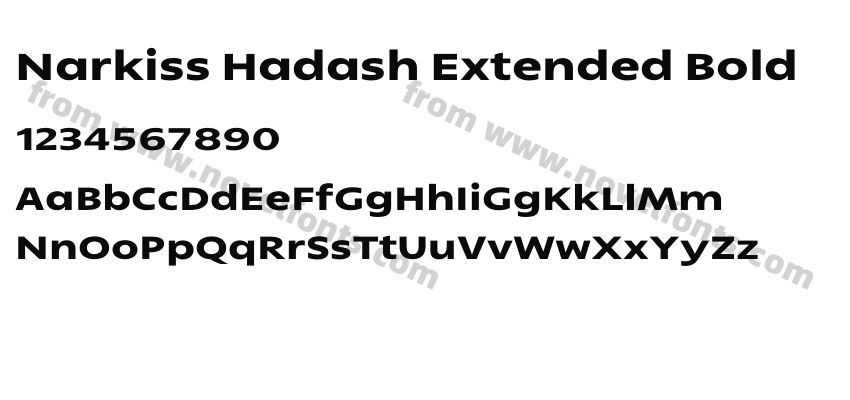 Narkiss Hadash Extended BoldPreview