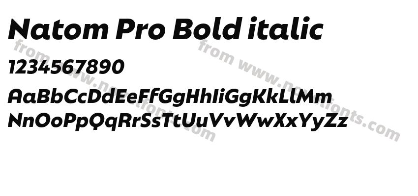 Natom Pro Bold italicPreview