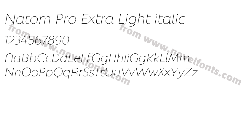 Natom Pro Extra Light italicPreview