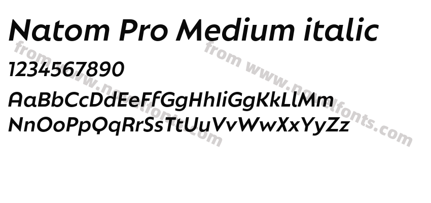 Natom Pro Medium italicPreview
