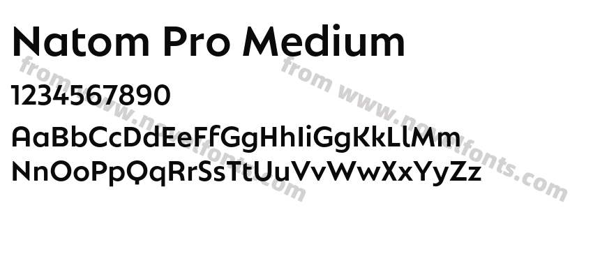 Natom Pro MediumPreview