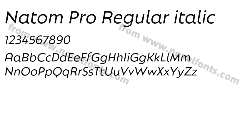 Natom Pro Regular italicPreview