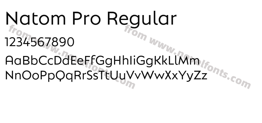Natom Pro RegularPreview