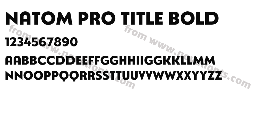 Natom Pro Title BoldPreview