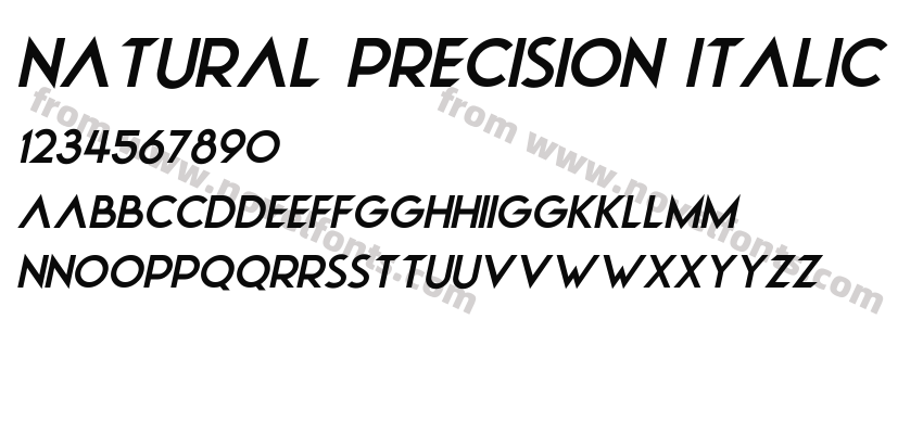 Natural Precision ItalicPreview