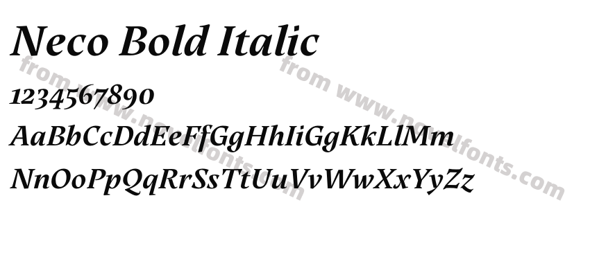Neco Bold ItalicPreview