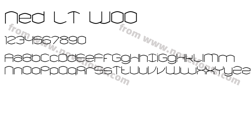 Ned LT W00Preview
