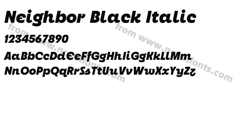 Neighbor Black ItalicPreview