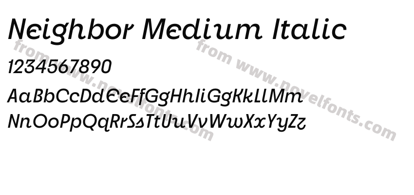 Neighbor Medium ItalicPreview