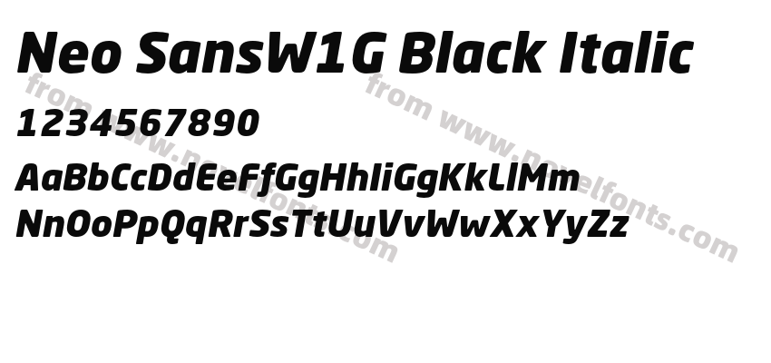 Neo SansW1G Black ItalicPreview