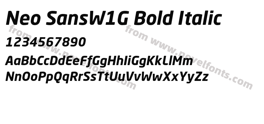 Neo SansW1G Bold ItalicPreview