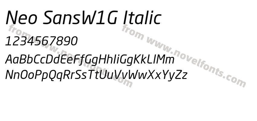 Neo SansW1G ItalicPreview