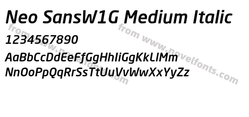 Neo SansW1G Medium ItalicPreview