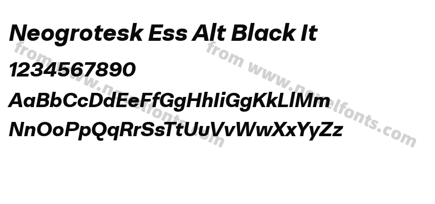 Neogrotesk Ess Alt Black ItPreview