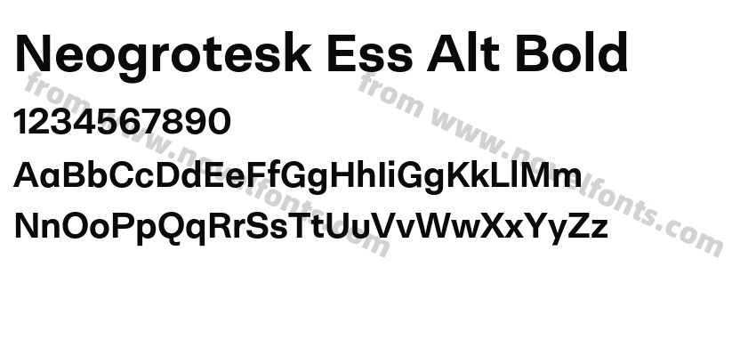 Neogrotesk Ess Alt BoldPreview