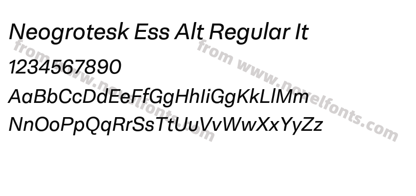 Neogrotesk Ess Alt Regular ItPreview