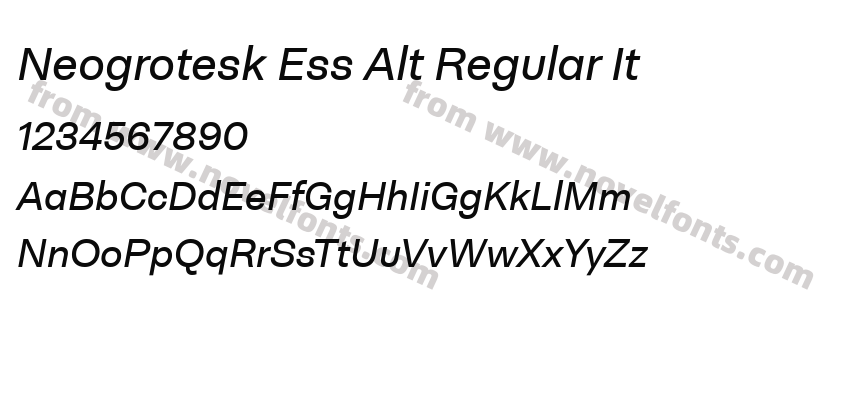 Neogrotesk Ess Alt Regular ItPreview