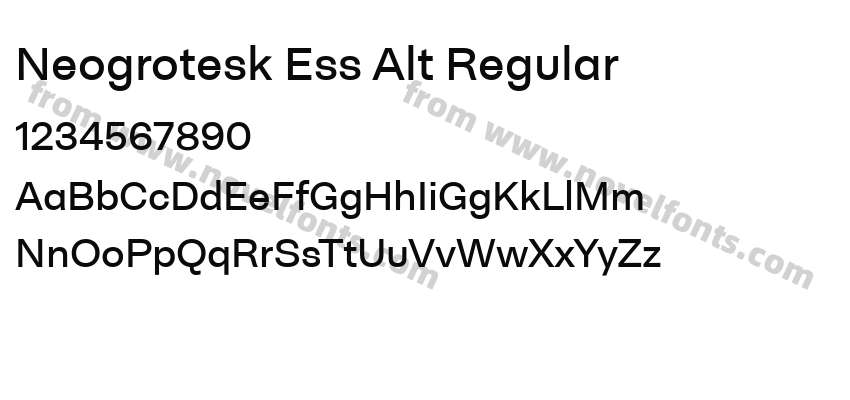 Neogrotesk Ess Alt RegularPreview
