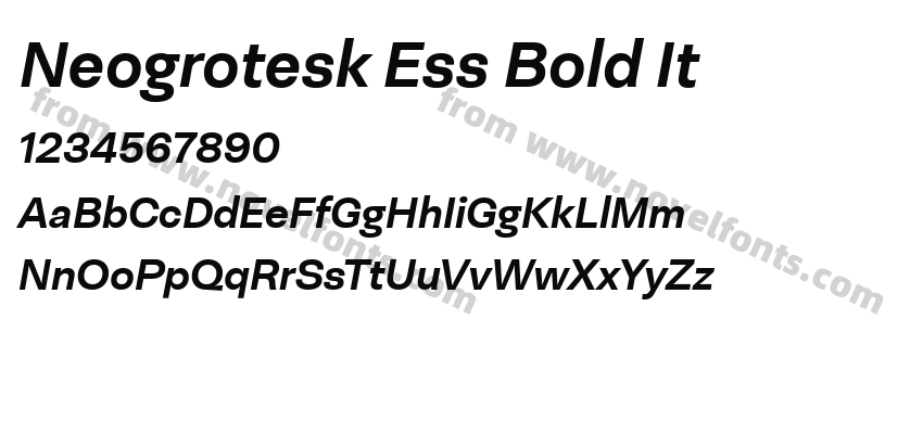 Neogrotesk Ess Bold ItPreview