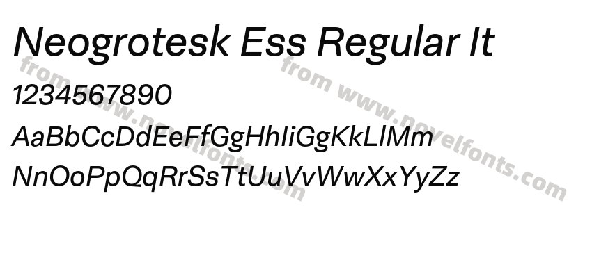 Neogrotesk Ess Regular ItPreview