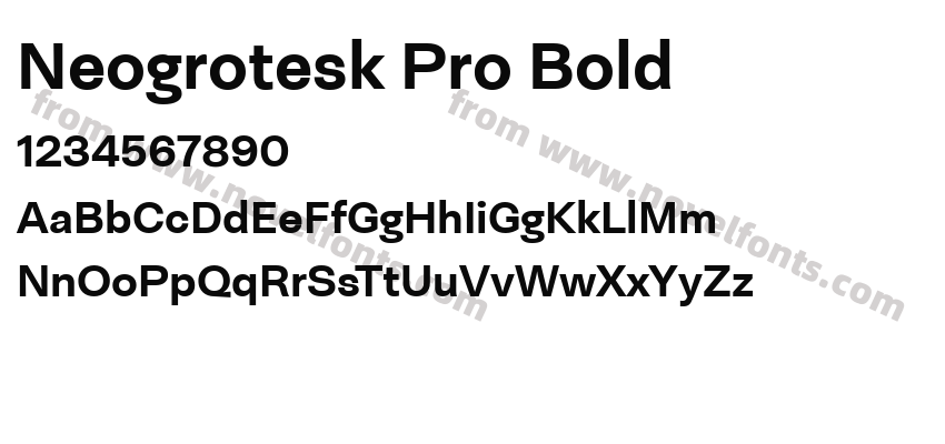 Neogrotesk Pro BoldPreview