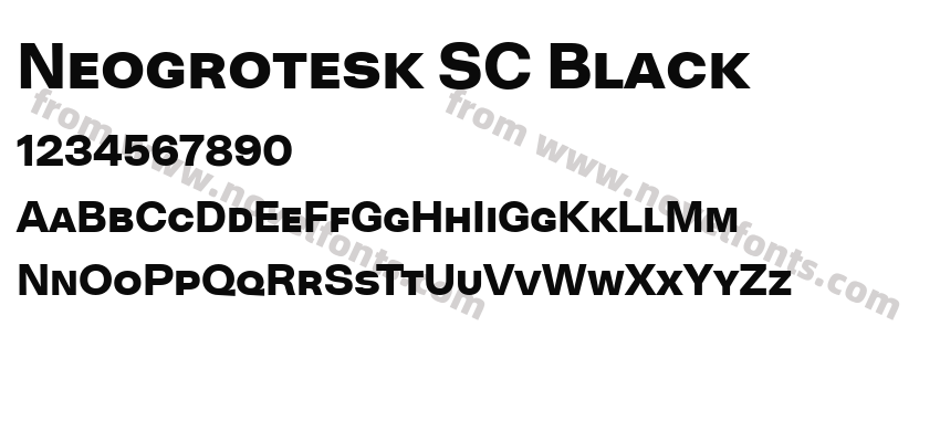 Neogrotesk SC BlackPreview