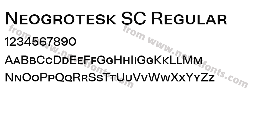 Neogrotesk SC RegularPreview