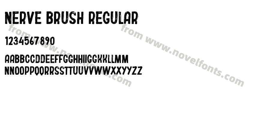 Nerve Brush RegularPreview