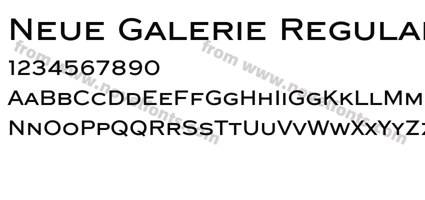 Neue Galerie RegularPreview