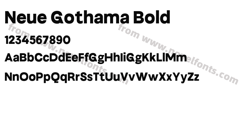 Neue Gothama BoldPreview