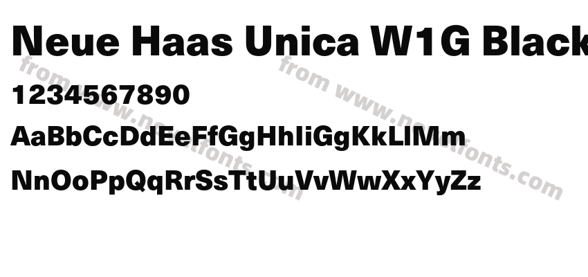Neue Haas Unica W1G BlackPreview