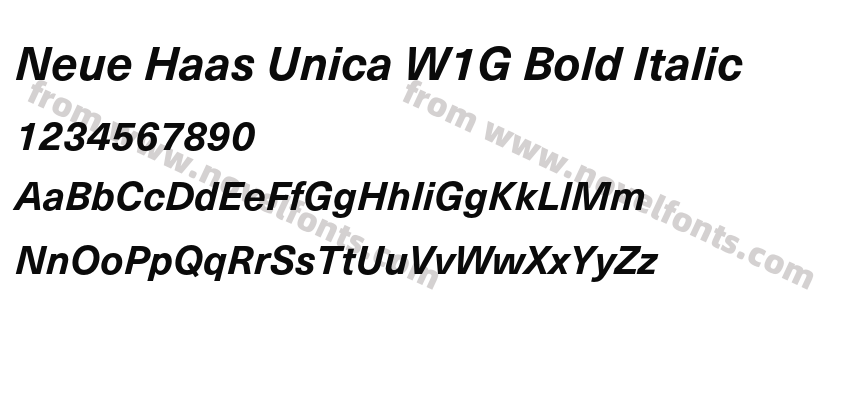 Neue Haas Unica W1G Bold ItalicPreview