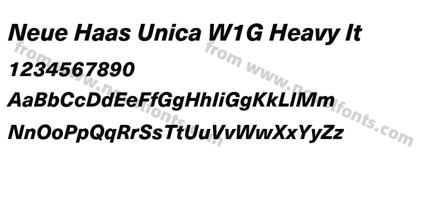 Neue Haas Unica W1G Heavy ItPreview