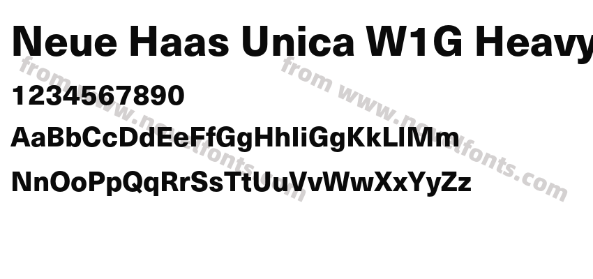 Neue Haas Unica W1G HeavyPreview