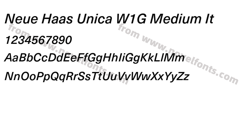 Neue Haas Unica W1G Medium ItPreview