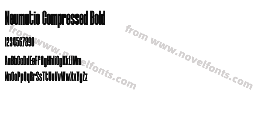 Neumatic Compressed BoldPreview