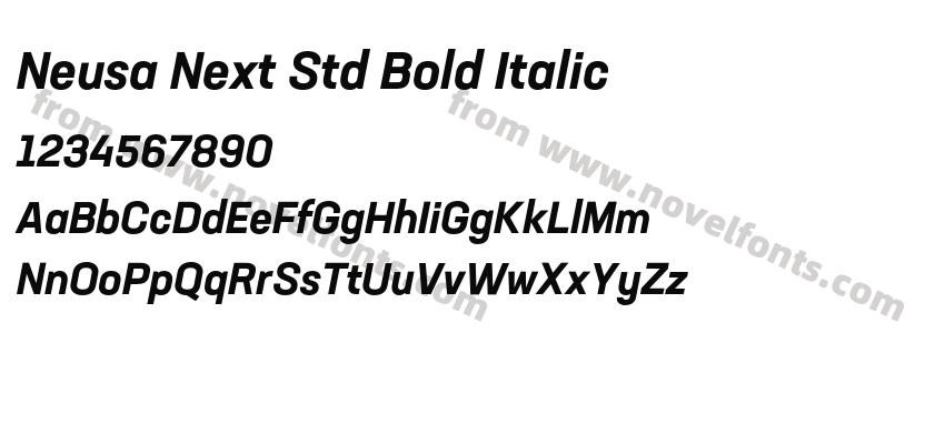 Neusa Next Std Bold ItalicPreview