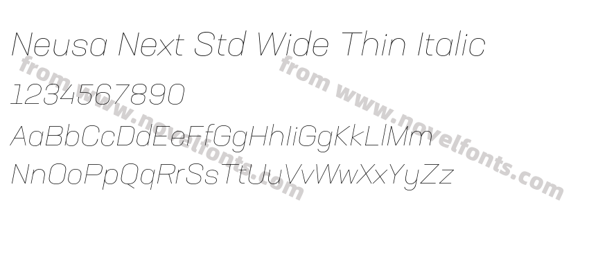Neusa Next Std Wide Thin ItalicPreview