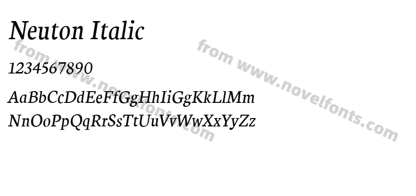 Neuton ItalicPreview